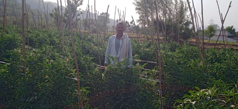 Organic produce